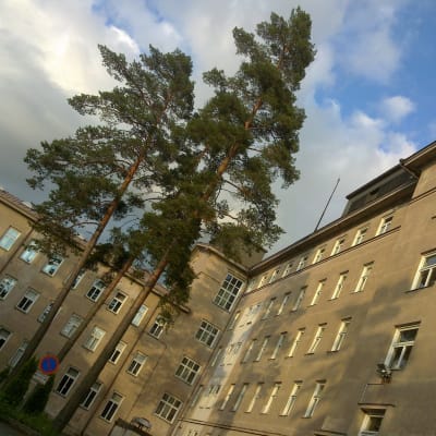 Baksidan av huvudubyggnaden vid Mjölbolsta sjukhus, huvudbyggnaden.