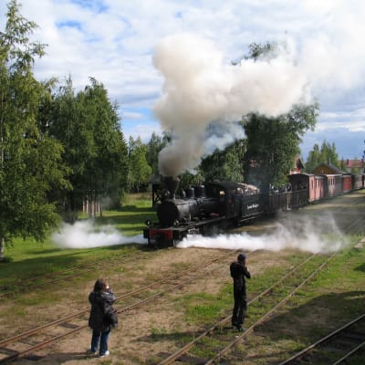 Ett gammalt ånglok med vagnar kör på museijärnväg
