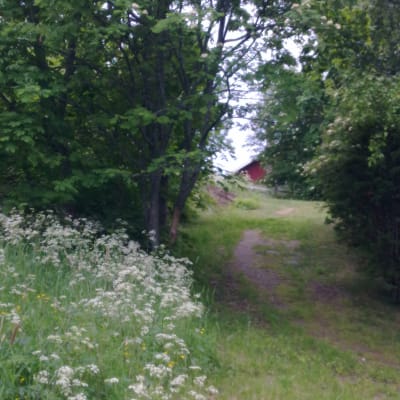 Sommaräng.