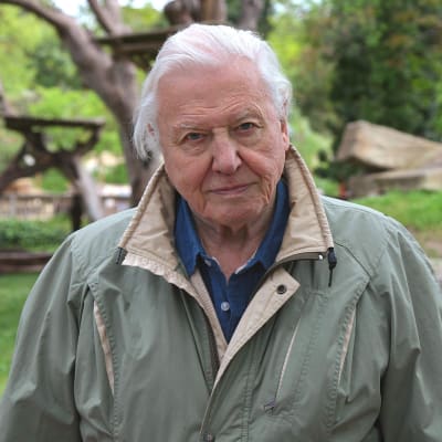 Brittiläisessä dokumenttisarjassa Sir David Attenborough tutustuu lajeihin, jotka hämmästyttävät ja ihastuttavat erikoisuudellaan. 