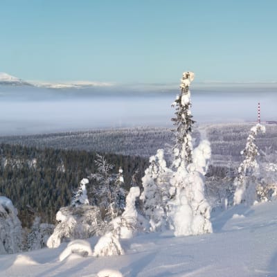 Kuolan ydinvoimala Venäjällä ydinvoimalayhtiö Rosenrgoatomin kuvassa. 