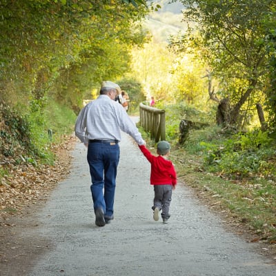 En farfar eller morfar håller sitt barnbarns hand medan de promenerar på en gångväg omringad av gröna träd och natur.