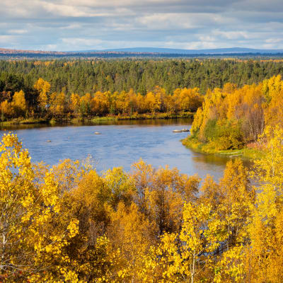 Ruskaa Kaamasen kylässä. 