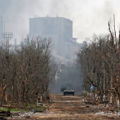 Venäjän tankki ajaa tiellä jossa puut ovat tuhoutuneet taisteluissa, Azovstalin tehdas taustalla