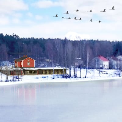 Havainnekuva yleisestä saunasta Kemijoen rannalla Rovaniemen Katajarannassa