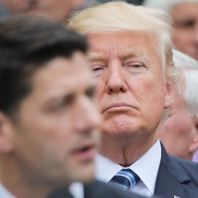 Donald Trumpin ensimmäinen vuosi Yhdysvaltojen presidenttinä on ollut täynnä ristiriitoja.