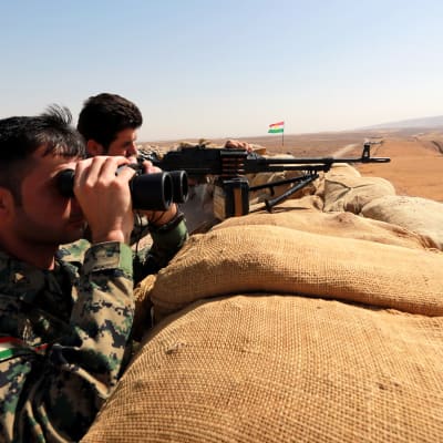 Kurdiska peshmergastyrkor har intagit flera byar omkring 30 kilometer öster om Mosul under det senaste dygnet
