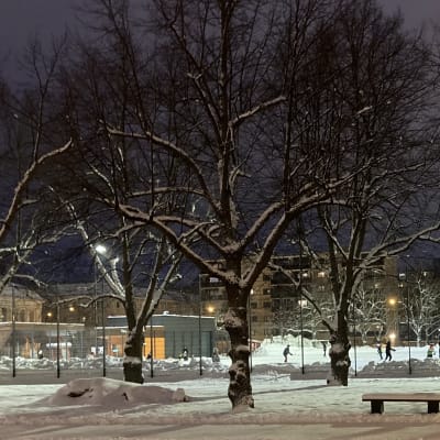 Liisantorin tekojää Porin keskustassa.