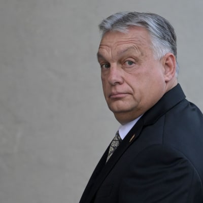 Ungerns premiärminister Viktor Orban tittar rakt in i kameran