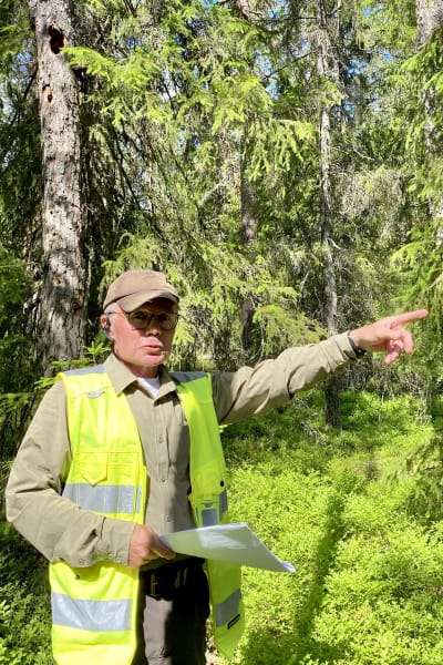 En man i skärmmössa och gul reflexväst pekar till vänster i en skog. Papper i andra handen. Solsken.