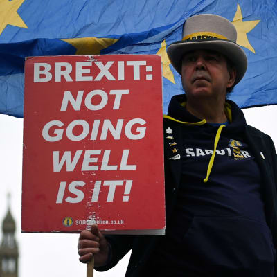En man som håller upp en skylt med texten "Brexit: Not going well is it!" med det brittiska parlamentet och en EU-flagga i bakgrunden.