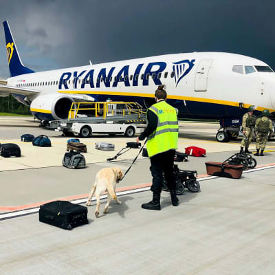 Säkerhetspersonal och en hund granskar bagaget som funnits ombord på Ryanairplanet som tvingades landa i Minsk.