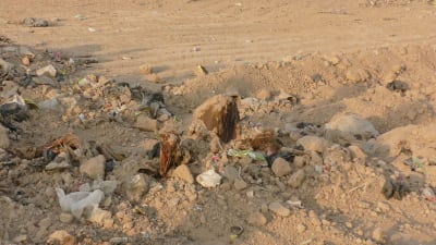Experter har undersökt kvarlevorna av offer som hade begravst i en massgrav nära en lantbruksskola söder om Mosul
