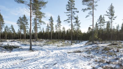 Hygge nära Koverhar industiområde