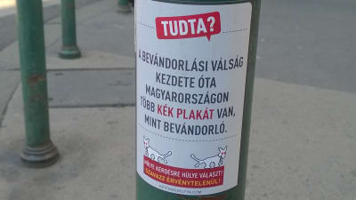 Proteströrelsen "tvåsavansade hundens" kampanj inför folkomrötningen i Ungern 2016.