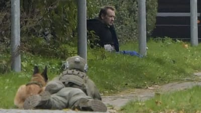 Bild från Albertslund, väster om Köpenhamn, visar Madsen i gräset omgiven av polisens specialstyrkor.  