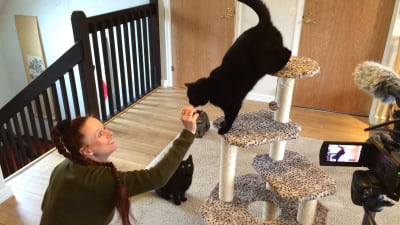 Susanne Schötz bandar kattprat.