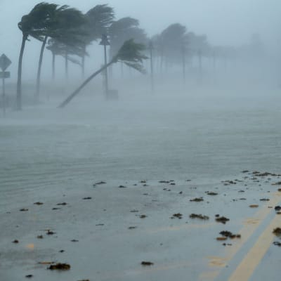 Orkanen Irma drar in över Fort Lauderdale, Florida den 10 september 2017.