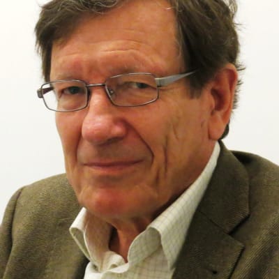 Finansministeriets tidigare överdirektör Peter Nyberg.