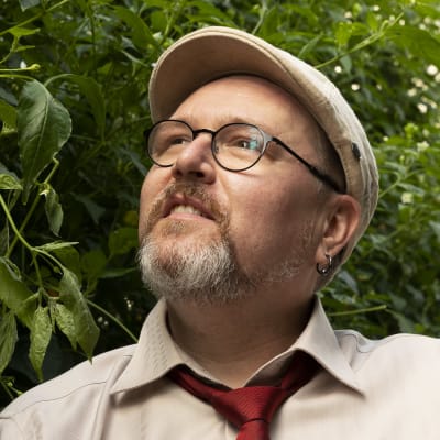 Jukka Kilpinen katsoo ylöspäin kasvihuoneessa. Kuvan reunassa näkyy kasvihuoneessa kasvavia chilejä. 