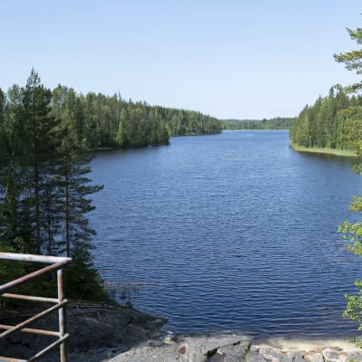 Palokinkosken padolta näkymät alajuoksulle päin.