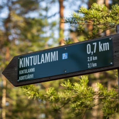 Opaskyltti Kintulammen retkeily- ja luonnonsuojelualueella.