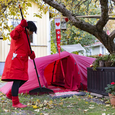 Elina Partanen haravoi lehtiä kotipihallaan punaisen teltan edessä.