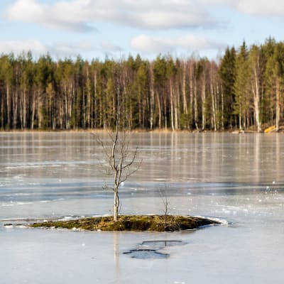 Saarijärvi Kintulammen retkeily- ja luonnonsuojelualueella.