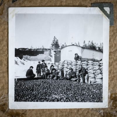 Ihmisiä kiipeilee perunasäkkien päällä Saksan armeijan perunavarastolla Härmässä 1942.
