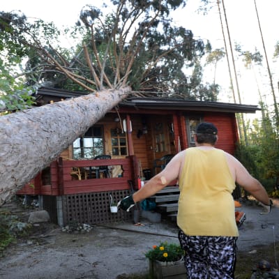 Henkilö katsoo myrskyn talon päälle kaatamaa puuta.