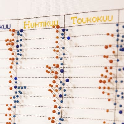 Sini- ja punasävyisiä nupeja syntyneiden kalenterissa Keski-Suomen keskussairaalan synnytysosaston seinällä. 