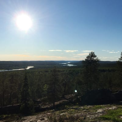 Kuvassa on maisema Ounasjoelle Santavaaran laella olevalta Kuninkaanlaavulta Rovaniemellä juhannuksena 2020.