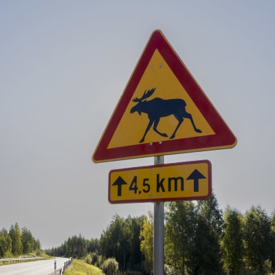 Hirvivaarasta varoittava liikennemerkki. Kyltin alla on tieto siitä, että hirviä on 4,5 kilometrin matkalla. 