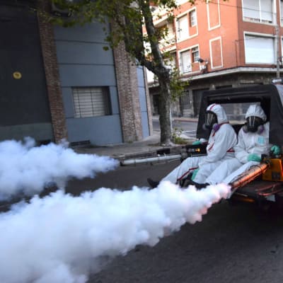 Myggbekämpning i Uruguay för att förhindra att zikaviruset sprids.