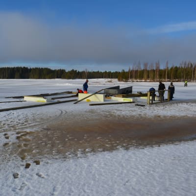 Kyrkösjärven melontakeskuksen jättilaituri rakentuu jään päälle. Jäiden sulamisen jälkeen se uitetaan oikealle paikalleen. 