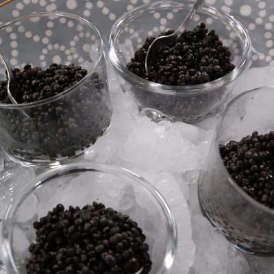 Belugakaviar på linser