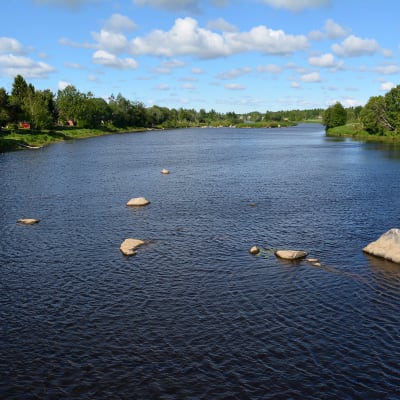 Kyrönjoki kuvattuna Vähänkyrön kävelysillalta.