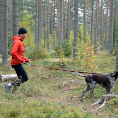 Teija Polso juoksee metsässä Vinku-koiransa kanssa.