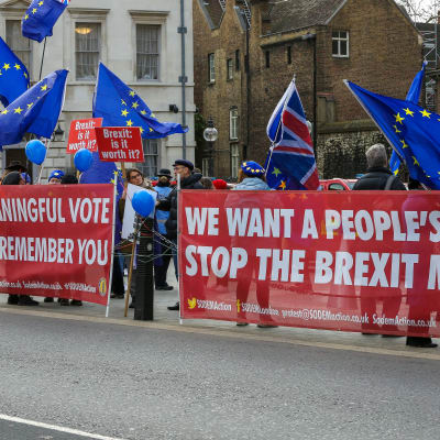Protester mot brexit i London.