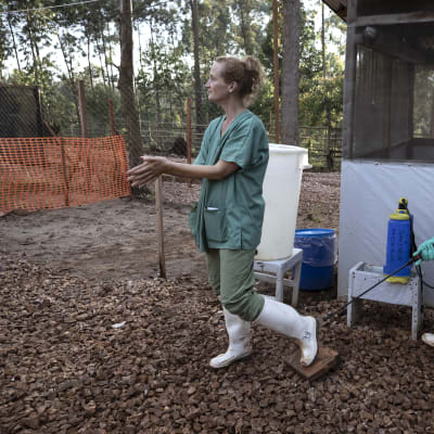 Anna Sjöblom desificerar sina skor under kampen mot ebola i Afrika. 