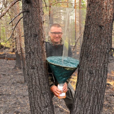 Mies seisoo puiden välissä, käsissään hyönteistutkimukseen liittyvä laite. 