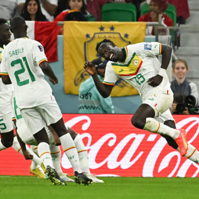 Senegals spelare jublar.