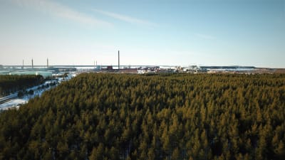 Drönarbild av Karleby industriområde och omkringliggande skog.