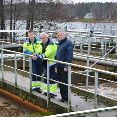 Robin Lönnberg, Jörn Granroth och Tom Törnroos vid kvävereningsbassängen