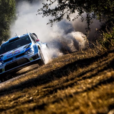Rally