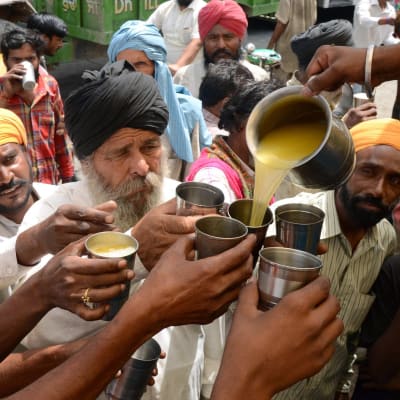En indisk volontär delar ut juice till förbipasserande i Amritsar i Indien den 29 maj 2015.
