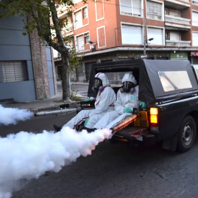 Myggbekämpning i Uruguay för att förhindra att zikaviruset sprids.