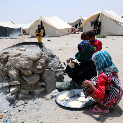 Flyktingläger nära Fallujah i västra Irak i juni 2016.