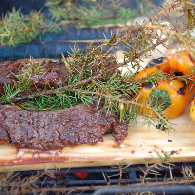 Plankgrillad njurtapp
