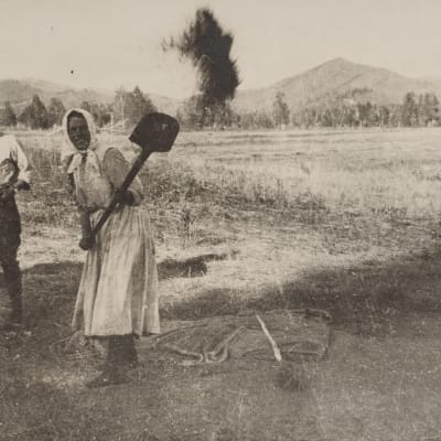 5  Primitiv tröskning av säd, Hlebnikova.  Eric Lindén i vit skjorta.